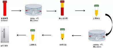 优质rb攻略系统芙芙饿了,优质液体收集系统ph