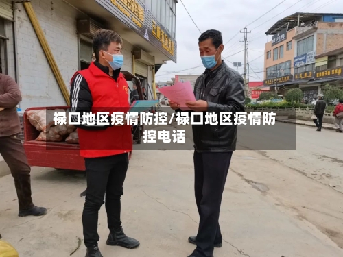 禄口地区疫情防控/禄口地区疫情防控电话-第2张图片