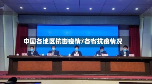 中国各地区抗击疫情/各省抗疫情况