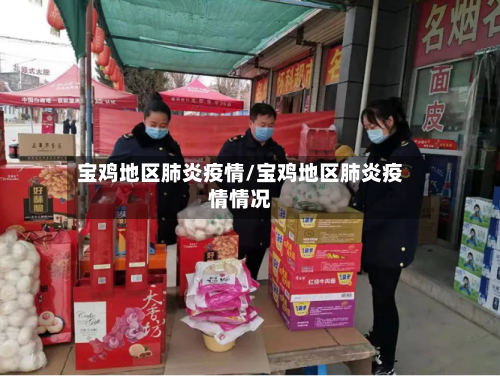 宝鸡地区肺炎疫情/宝鸡地区肺炎疫情情况