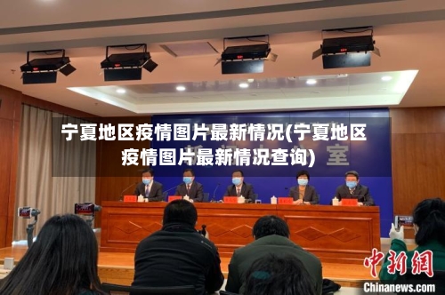 宁夏地区疫情图片最新情况(宁夏地区疫情图片最新情况查询)-第2张图片