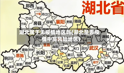 湖北属于无疫情地区吗(湖北是否疫情中高风险地区)-第3张图片