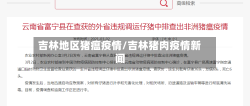吉林地区猪瘟疫情/吉林猪肉疫情新闻