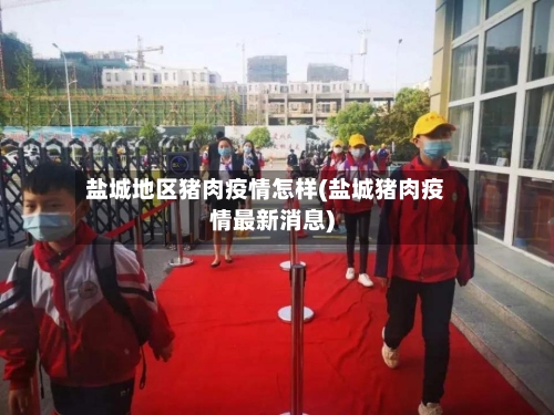 盐城地区猪肉疫情怎样(盐城猪肉疫情最新消息)