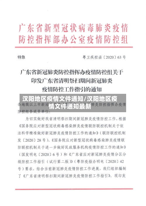 汉阳地区疫情文件通知/汉阳地区疫情文件通知最新-第2张图片