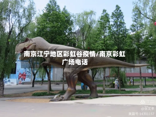 南京江宁地区彩虹谷疫情/南京彩虹广场电话-第3张图片