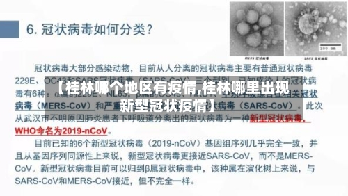 【桂林哪个地区有疫情,桂林哪里出现新型冠状疫情】-第3张图片