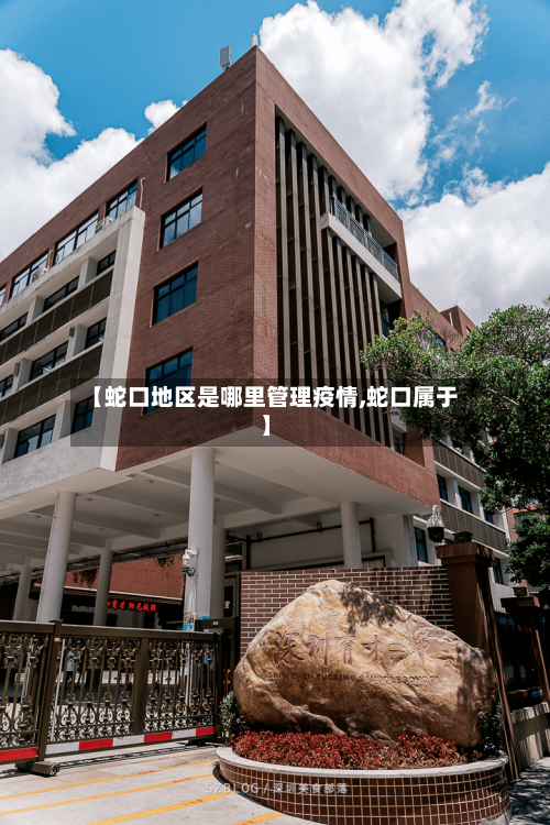 【蛇口地区是哪里管理疫情,蛇口属于】