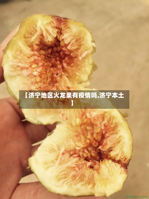 【济宁地区火龙果有疫情吗,济宁本土】