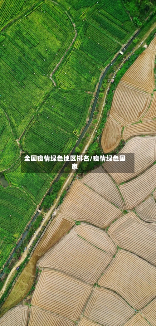 全国疫情绿色地区排名/疫情绿色国家