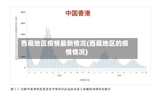 西藏地区疫情最新情况(西藏地区的疫情情况)-第2张图片