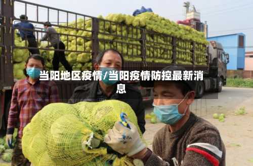 当阳地区疫情/当阳疫情防控最新消息