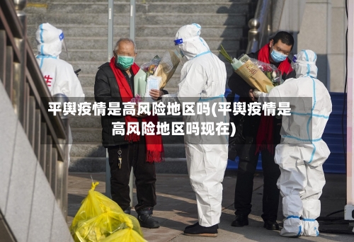 平舆疫情是高风险地区吗(平舆疫情是高风险地区吗现在)-第2张图片