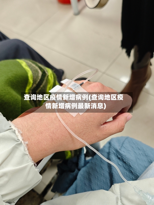 查询地区疫情新增病例(查询地区疫情新增病例最新消息)