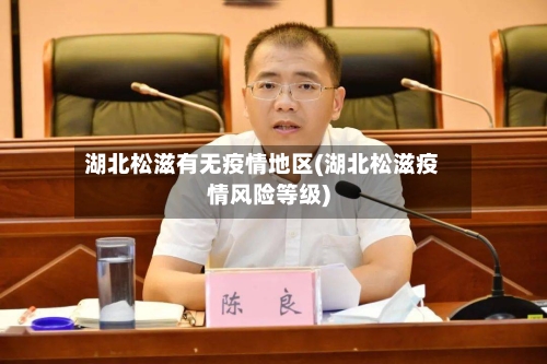 湖北松滋有无疫情地区(湖北松滋疫情风险等级)-第2张图片