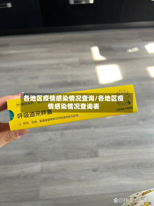 各地区疫情感染情况查询/各地区疫情感染情况查询表