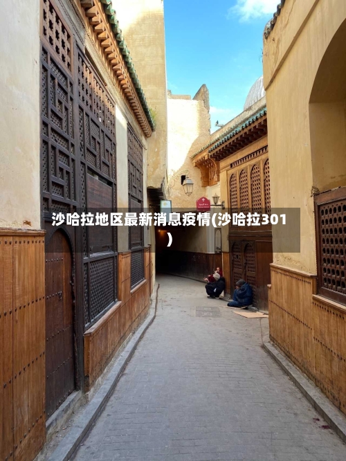 沙哈拉地区最新消息疫情(沙哈拉301)-第2张图片