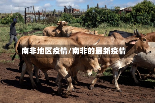 南非地区疫情/南非的最新疫情