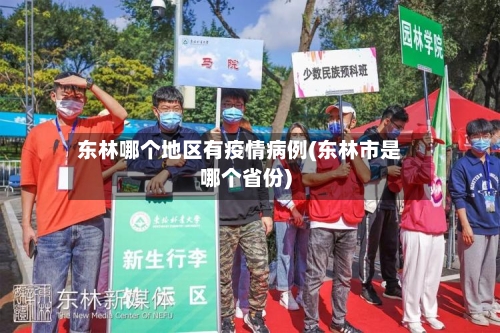 东林哪个地区有疫情病例(东林市是哪个省份)