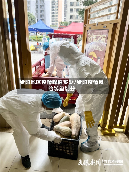 贵阳地区疫情峰值多少/贵阳疫情风险等级划分-第3张图片