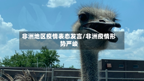 非洲地区疫情表态发言/非洲疫情形势严峻-第3张图片