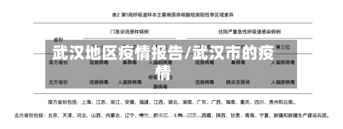 武汉地区疫情报告/武汉市的疫情-第3张图片