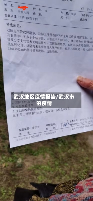 武汉地区疫情报告/武汉市的疫情-第2张图片