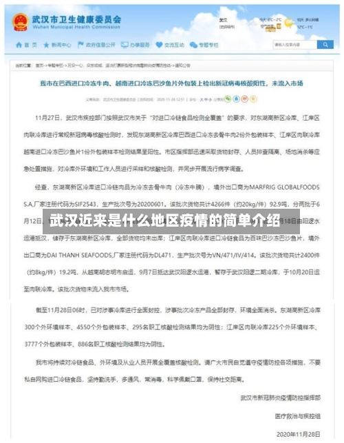 武汉近来是什么地区疫情的简单介绍