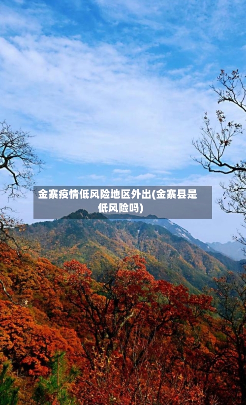 金寨疫情低风险地区外出(金寨县是低风险吗)