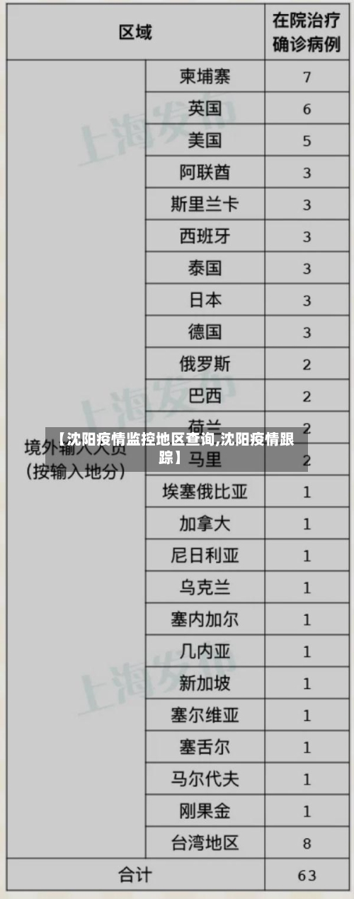 【沈阳疫情监控地区查询,沈阳疫情跟踪】-第2张图片