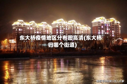 东大桥疫情地区分布图高清(东大桥归哪个街道)-第2张图片