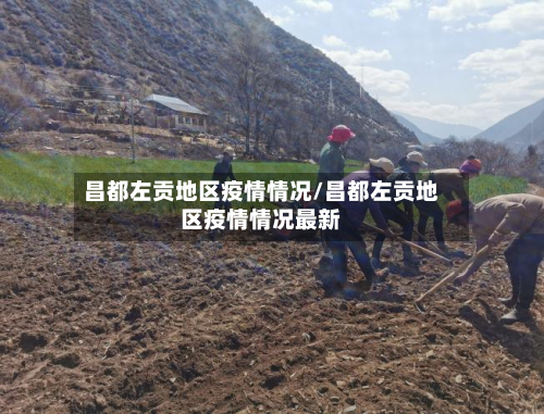 昌都左贡地区疫情情况/昌都左贡地区疫情情况最新