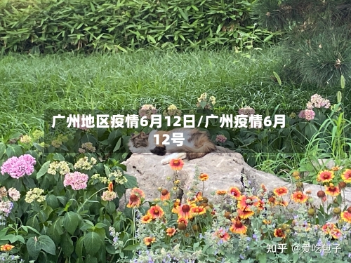 广州地区疫情6月12日/广州疫情6月12号