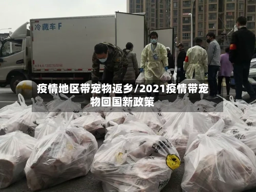 疫情地区带宠物返乡/2021疫情带宠物回国新政策-第2张图片