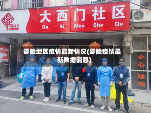 零陵地区疫情最新情况(零陵疫情最新数据消息)-第2张图片