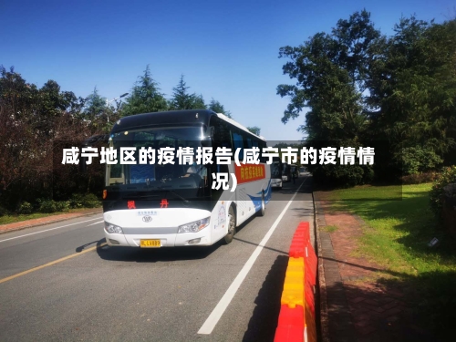 咸宁地区的疫情报告(咸宁市的疫情情况)