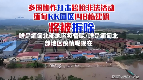 啥是缅甸北部地区疫情呢/啥是缅甸北部地区疫情呢现在-第2张图片