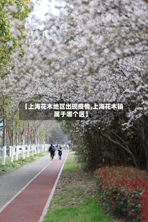 【上海花木地区出现疫情,上海花木镇属于哪个区】-第2张图片