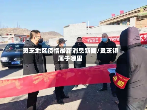 灵芝地区疫情最新消息新闻/灵芝镇属于哪里-第3张图片