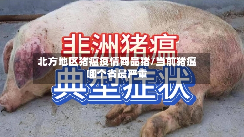 北方地区猪瘟疫情商品猪/当前猪瘟哪个省最严重