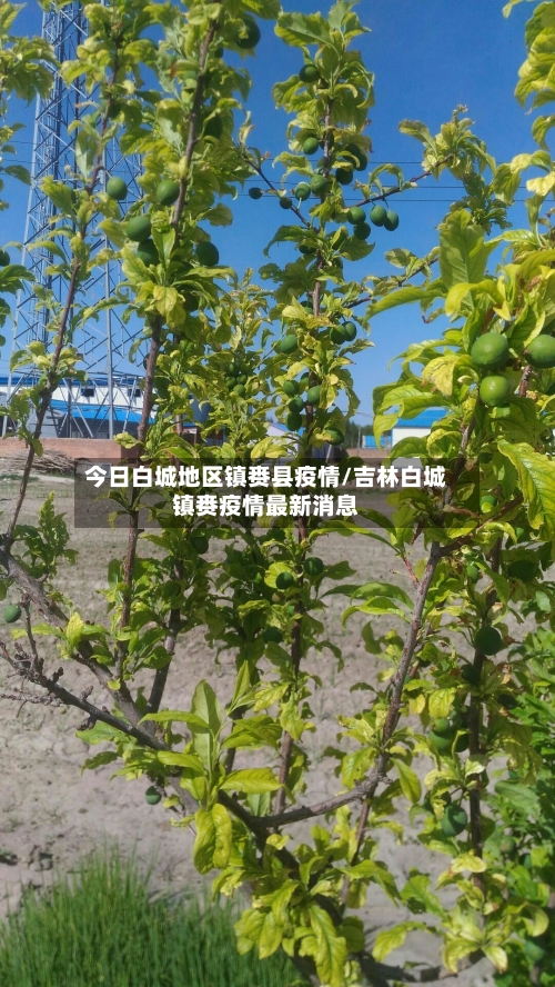 今日白城地区镇赉县疫情/吉林白城镇赉疫情最新消息-第2张图片
