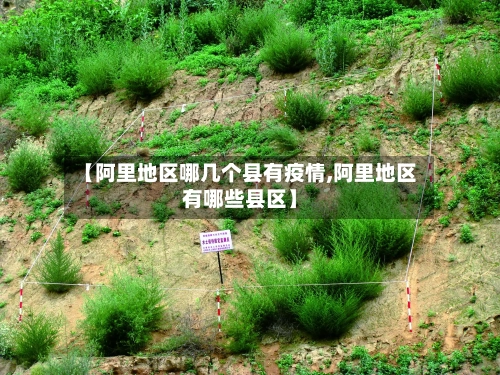 【阿里地区哪几个县有疫情,阿里地区有哪些县区】