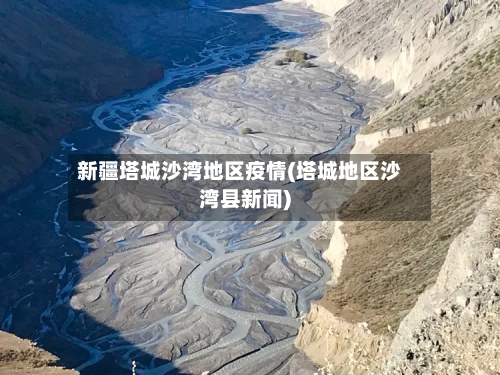 新疆塔城沙湾地区疫情(塔城地区沙湾县新闻)
