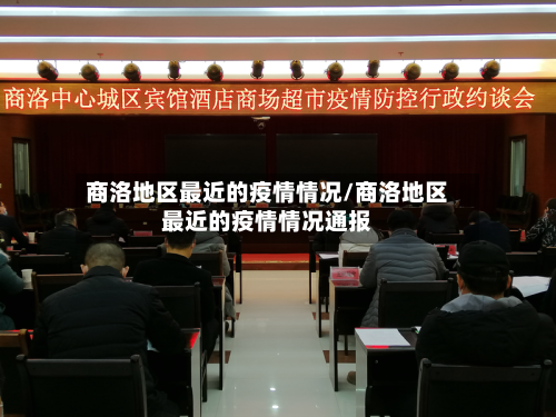 商洛地区最近的疫情情况/商洛地区最近的疫情情况通报-第2张图片