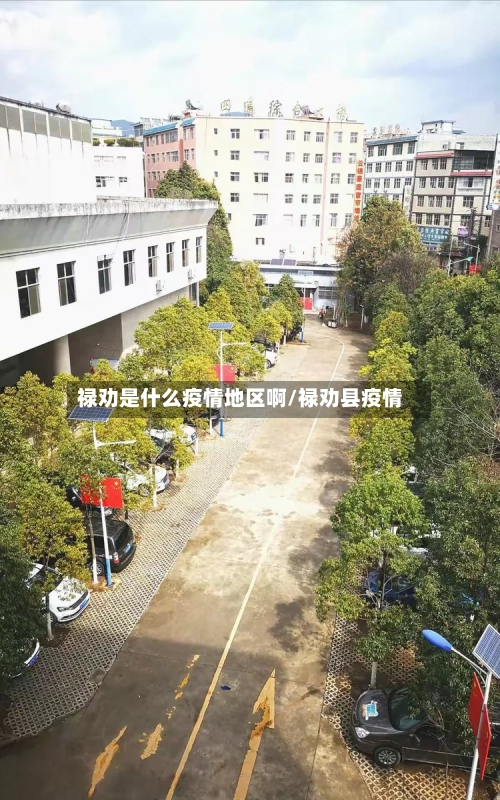 禄劝是什么疫情地区啊/禄劝县疫情-第2张图片