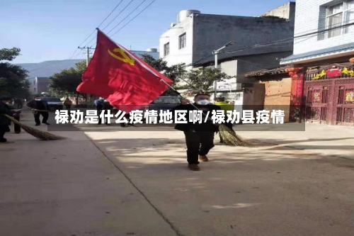 禄劝是什么疫情地区啊/禄劝县疫情-第3张图片